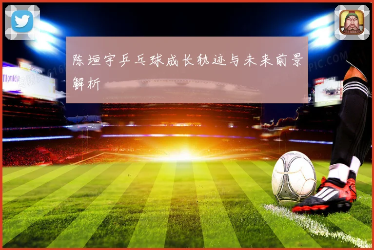 陈垣宇乒乓球成长轨迹与未来前景解析