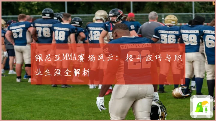 佩尼亚MMA赛场风云：格斗技巧与职业生涯全解析