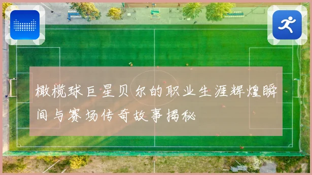 橄榄球巨星贝尔的职业生涯辉煌瞬间与赛场传奇故事揭秘