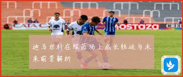 迪马尔科在绿茵场上成长轨迹与未来前景解析