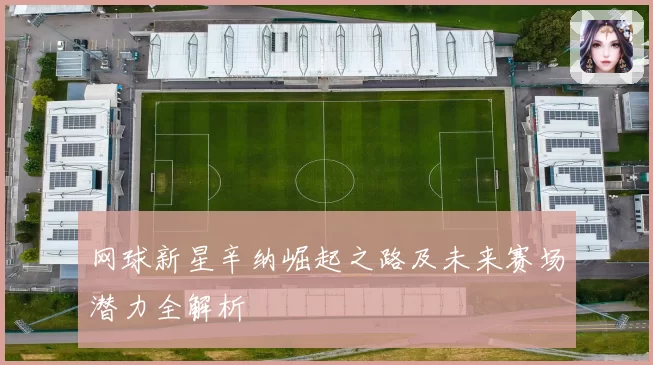 网球新星辛纳崛起之路及未来赛场潜力全解析
