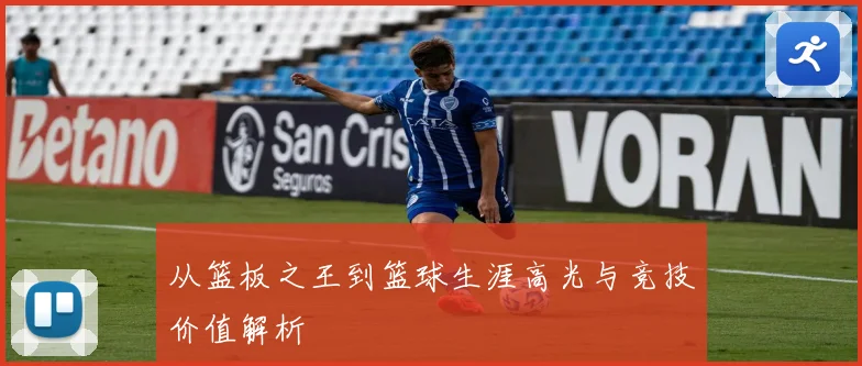 从篮板之王到篮球生涯高光与竞技价值解析