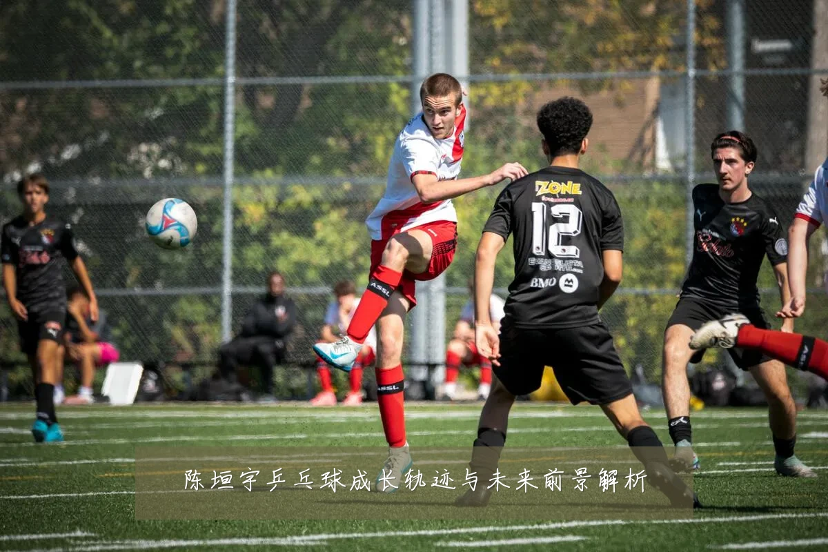 陈垣宇乒乓球成长轨迹与未来前景解析