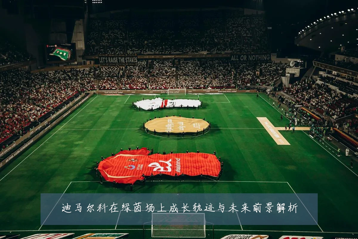 迪马尔科在绿茵场上成长轨迹与未来前景解析
